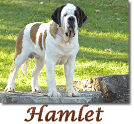 Hamlet link